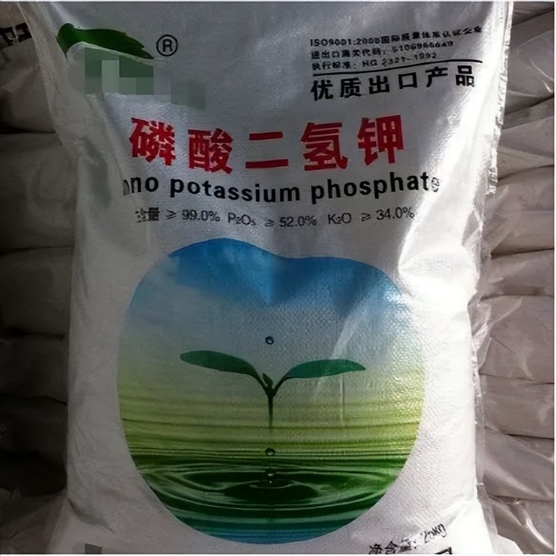 中港?；坟洿? width=