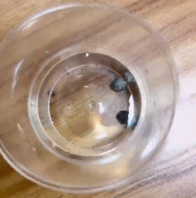 <a href='http://m.aqrcom.com' title='危險品貨代' >危險品貨代</a>